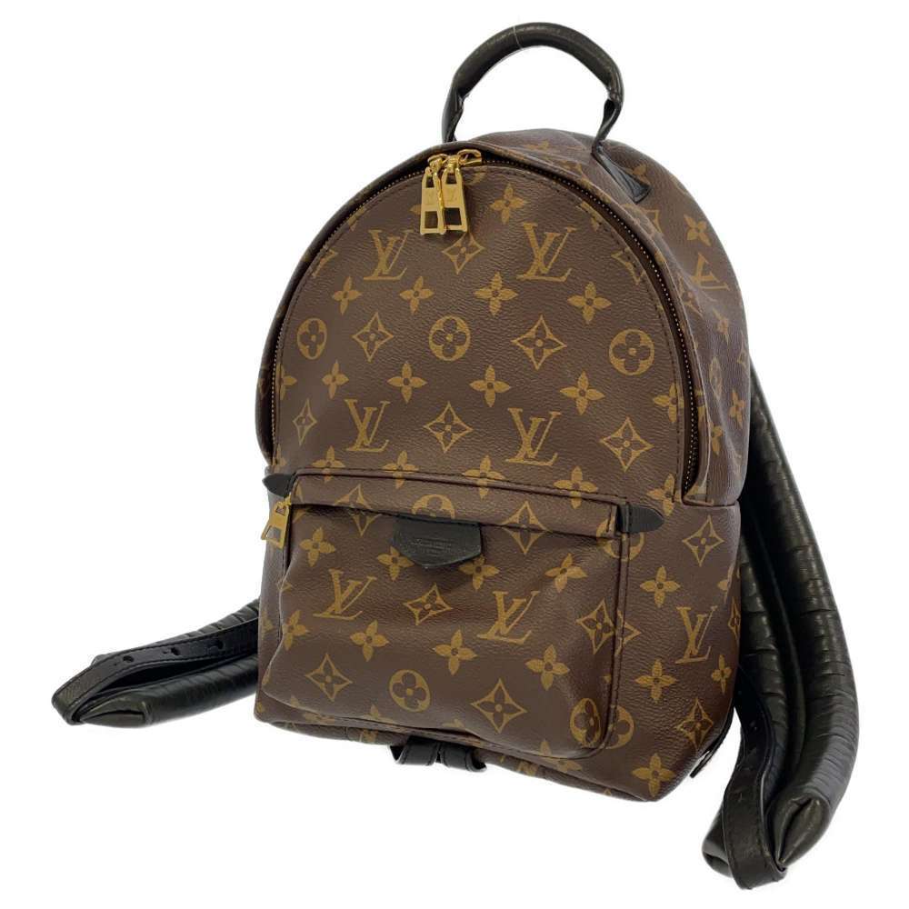 Louis Vuitton Rucksack Palm Springs Backpack PM Noir Black